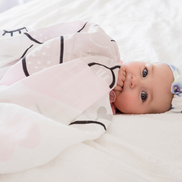 Kitty Kippin 'Everything' Gift Bundle